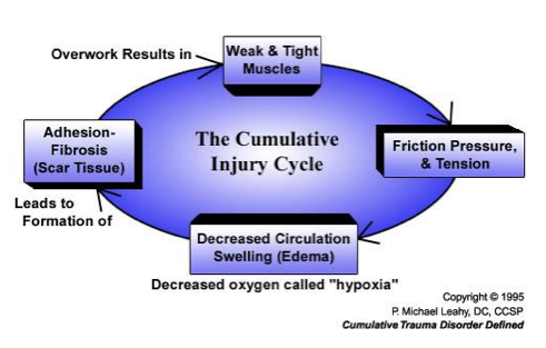 Cumulative Injury Cycle