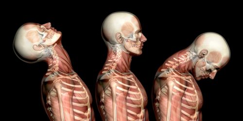 neck injury anatomy
